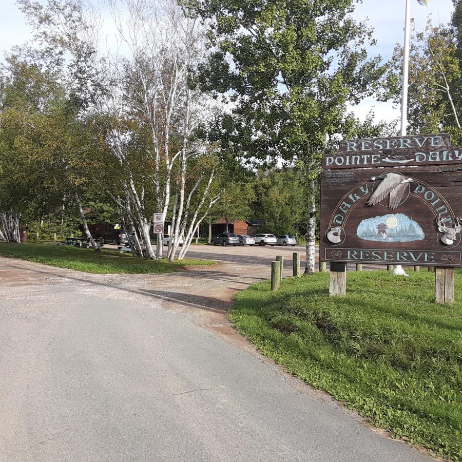 Birdwatching Explorenb Tourism New Brunswick